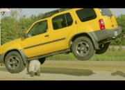 I Am Man video screenshot