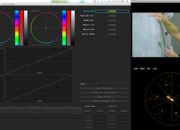 operating Apple Color