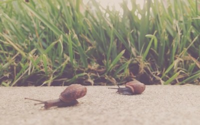 Storygram #3
