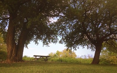 Storygram #20