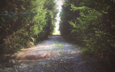 Storygram #26