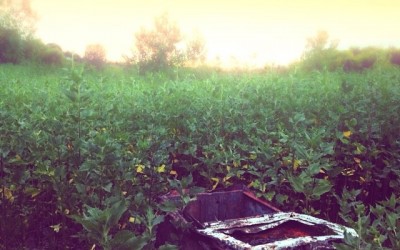 Storygram #28