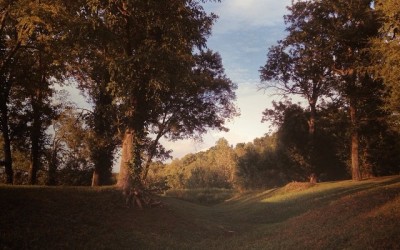 Storygram #40