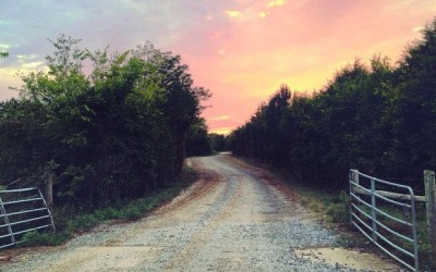 Storygram #44
