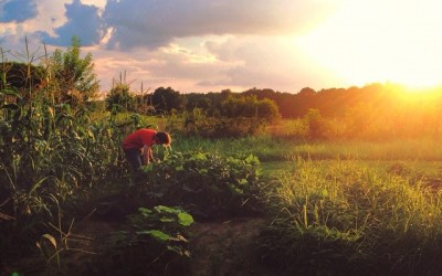 Storygram #48