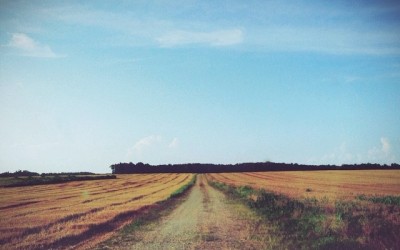 Storygram #55