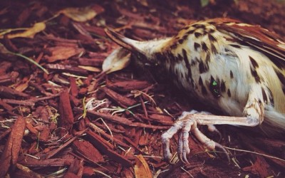 Storygram #59