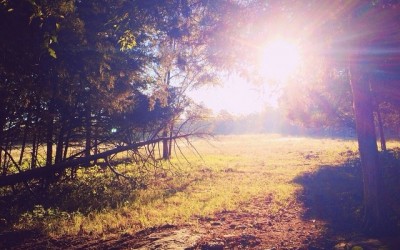 Storygram #64