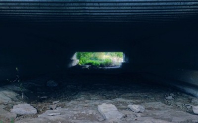 Storygram #70